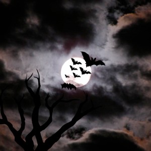 Bats and Moon spooky picture